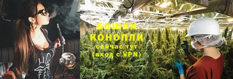 Каннабис OG Kush  Петровск 